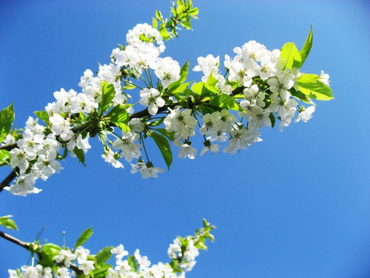 Wohlfuehlen In Wiehl - Drabenderhoehe Ngoại thất bức ảnh